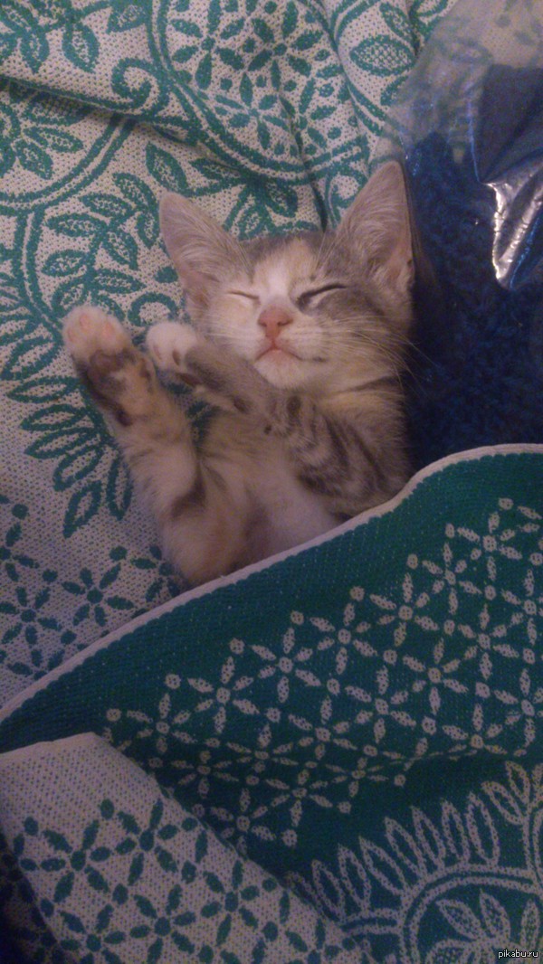 ����-���.