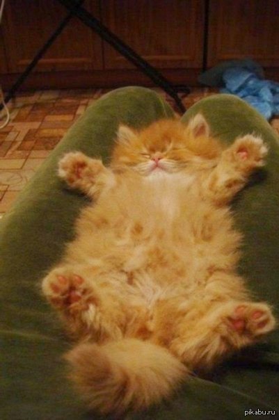 �������!