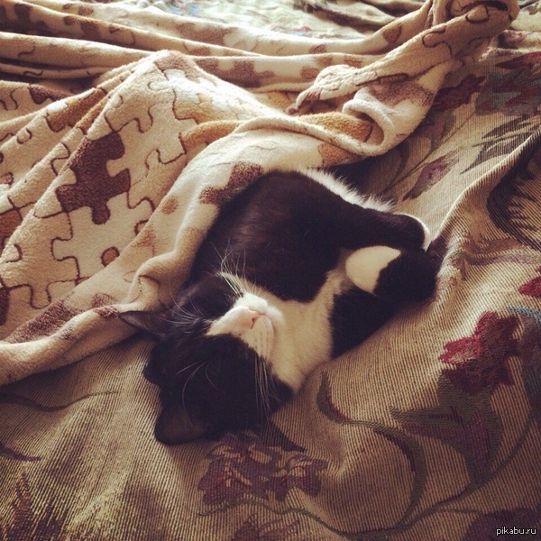 ���� �������� :)