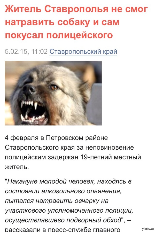 ������������ �������