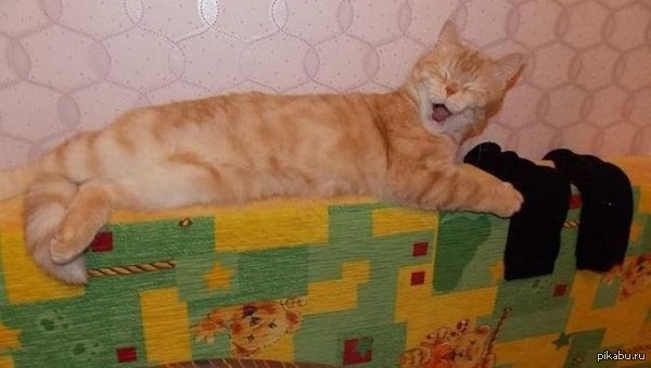 �, ����! ����� ������ ������!