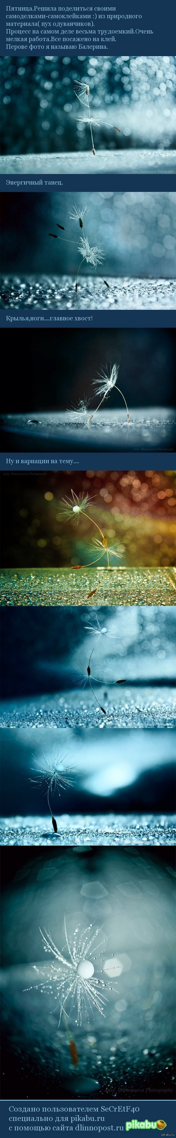 ������������� �������� �� ���� �����