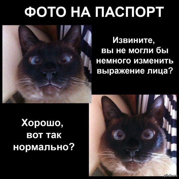 ���� �� �������