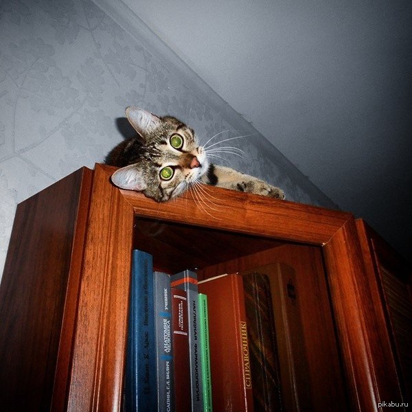 ������ ���� ����� ������?