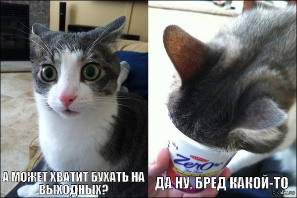 ��������...