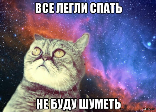 Познавший кот.