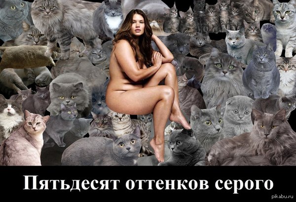 Фильм для независимых женщин - NSFW, Фотография, Пятьдесят оттенков серого, Шутка, Юмор, Пятьдесят оттенков серого (фильм)