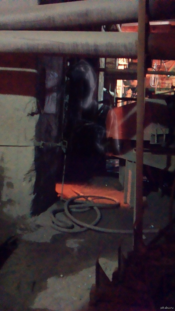 Случайное фото