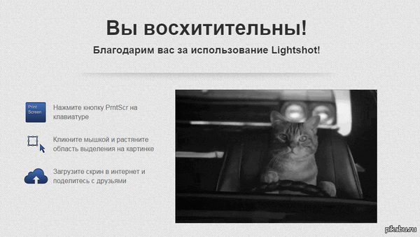 Вы восхитительны!