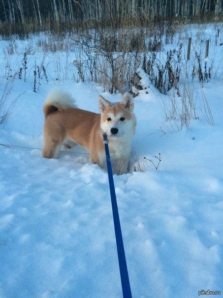 ���� � �������������, �������� ���, ��������� ���������� � ������� ������!