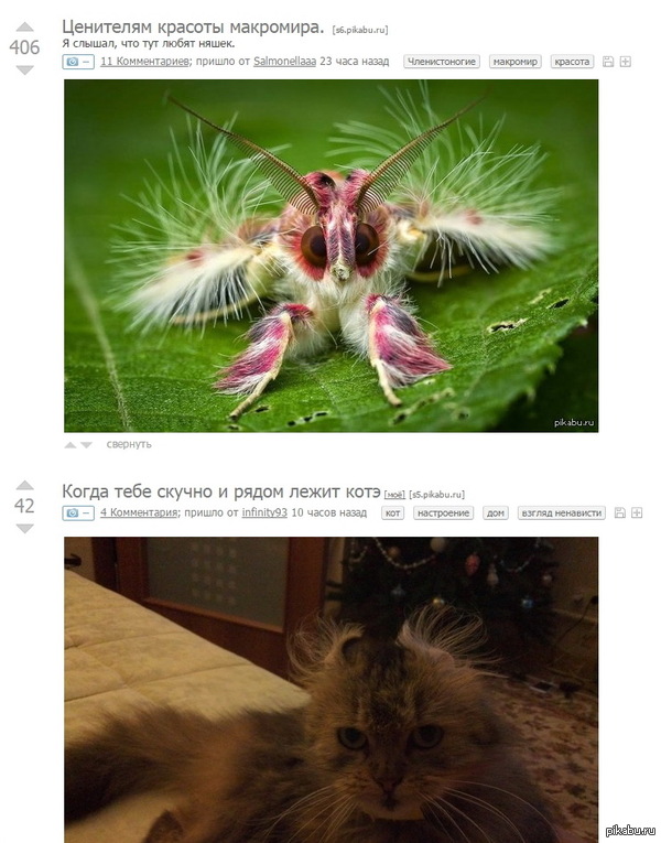 Когда ценителю макромира скучно