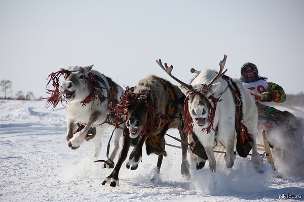 ,   ,                F1!  :-))