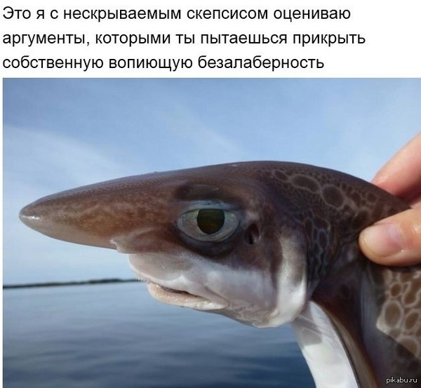 Пикабу, помоги!