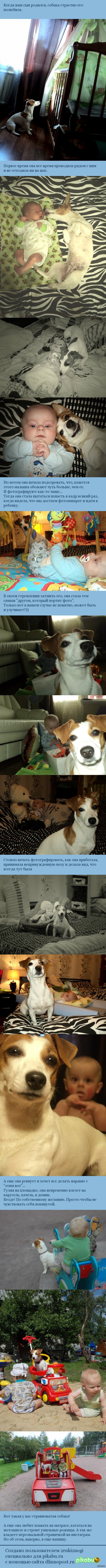 Друг, который всегда попадает в кадр