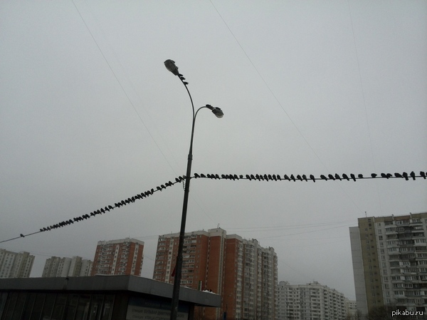 ����� ��������