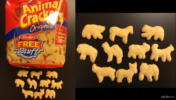 American Zoological! - My, USA, Cookies, zoological