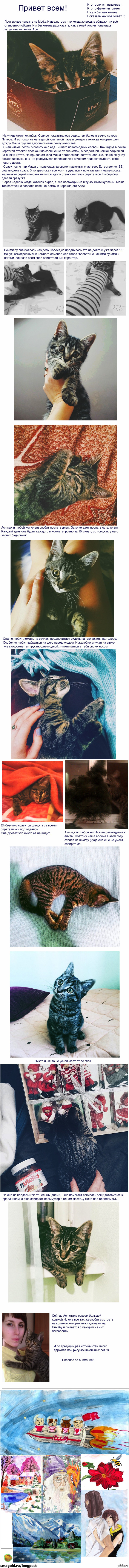 ���� �������� ���