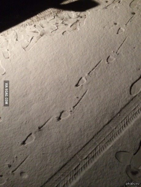 &quot;      ...&quot;