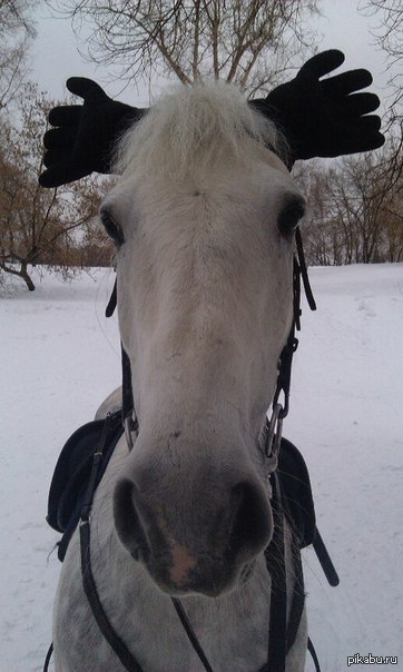 �������� �����))