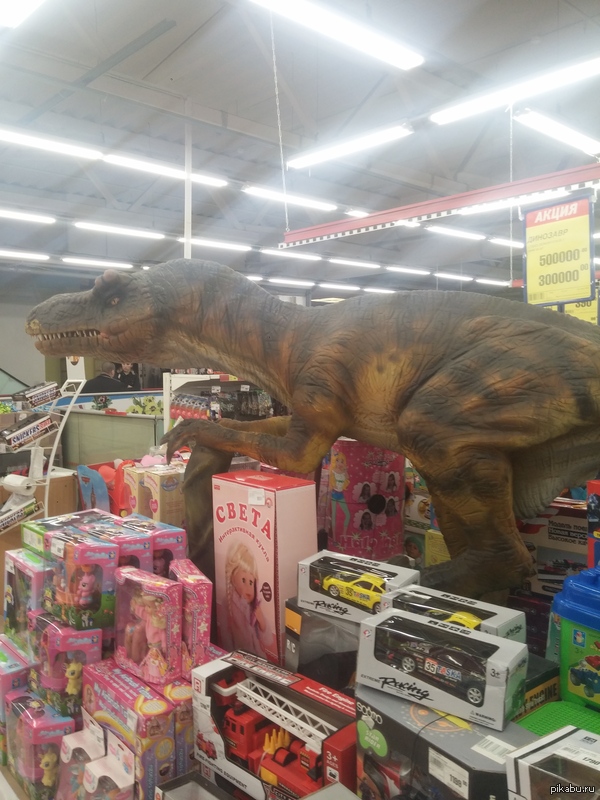 ���, �� �������!