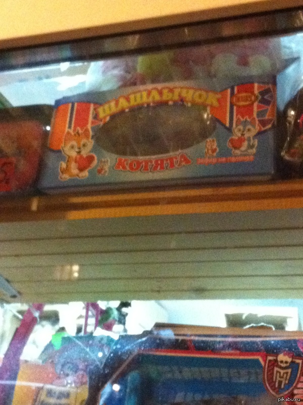 ���� ����� �� ��������� ������� ����� ���� .