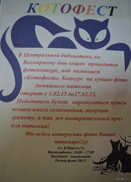 Конкурс для сильных и независимых женщин!