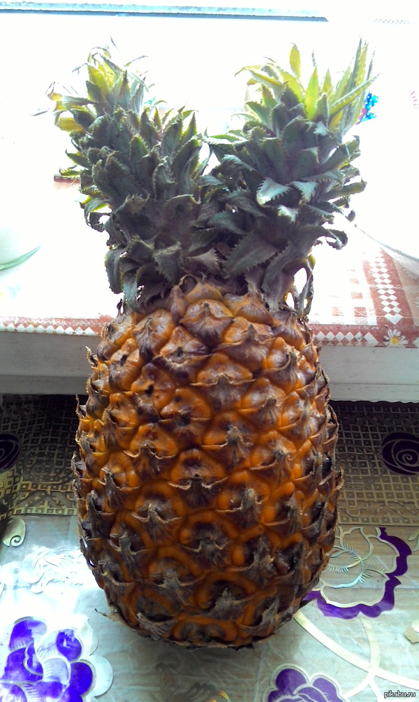 ������-������