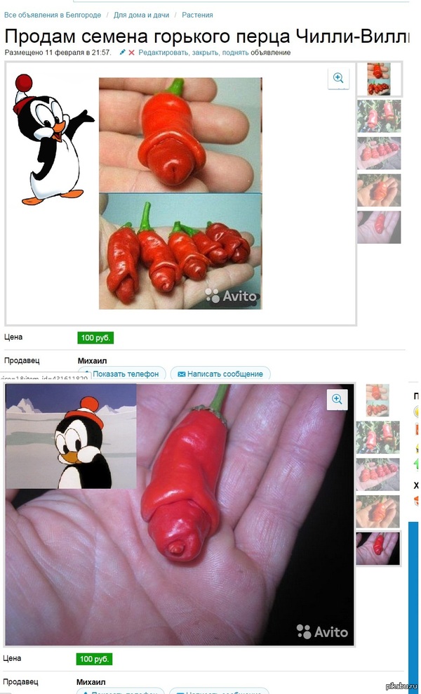 ������ �����-�����