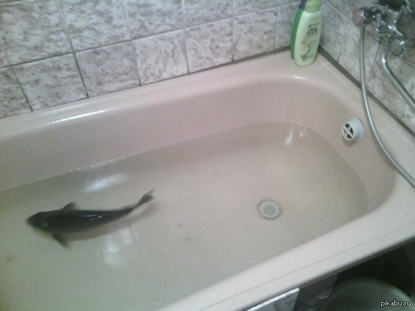 ����� ����� ���� � ��������