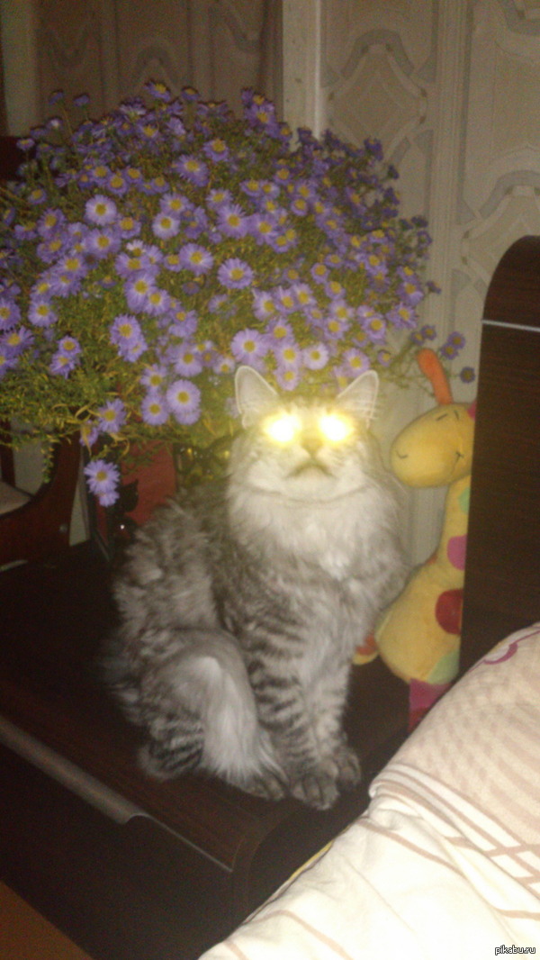 Прожекторы :)