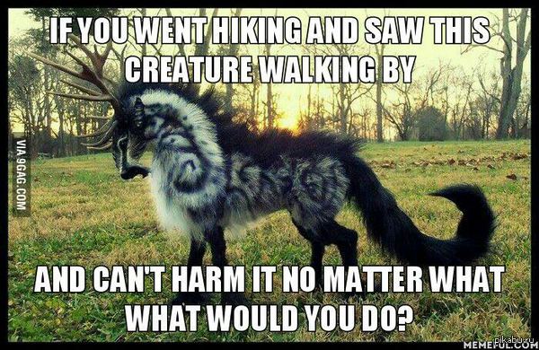 Фантастические скульптуры сказочных животных от Wood Splitter Lee.