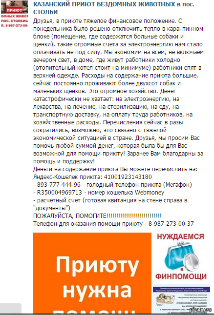 !  ,    .!  .    .        . https://vk.com/kazan_dog_priut