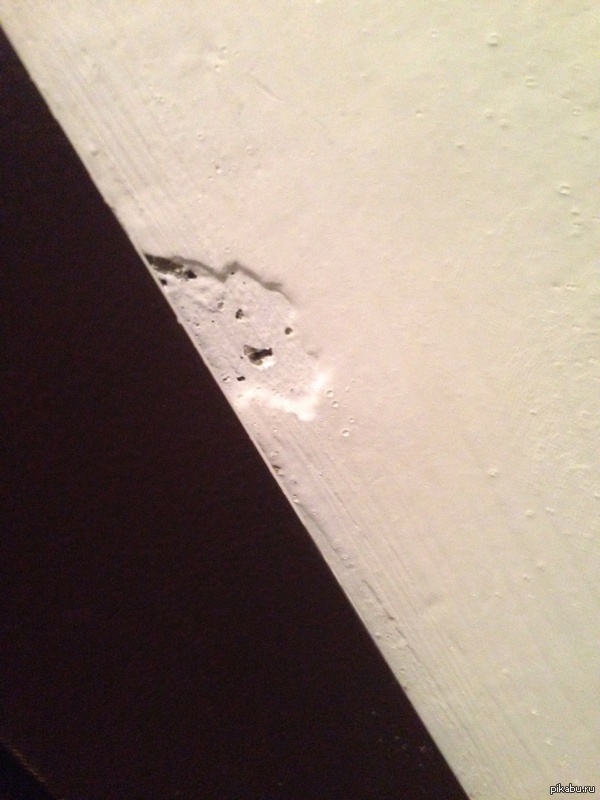 "Привет, дружище!"