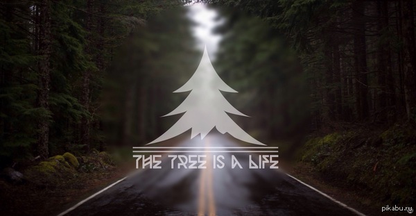 THE TREE IS A LIFE - Моё, Дерево, Дорога, Постер, Фотография, Лес