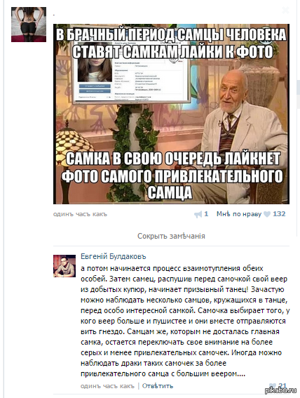 ��������:)