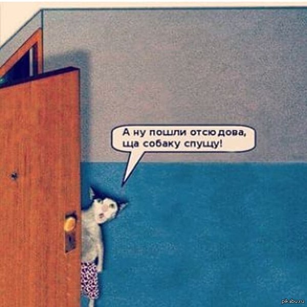 ����� ����� �������� � ��������...