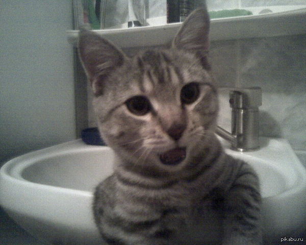 ����� � ��� �����������? ����� ���? �?