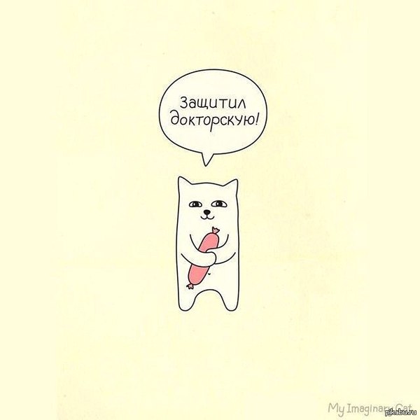 Защитил докторскую.