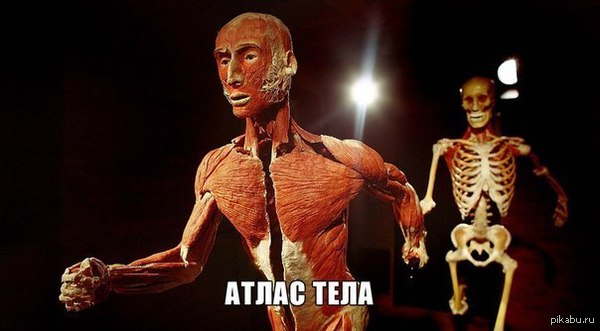  ,       ,