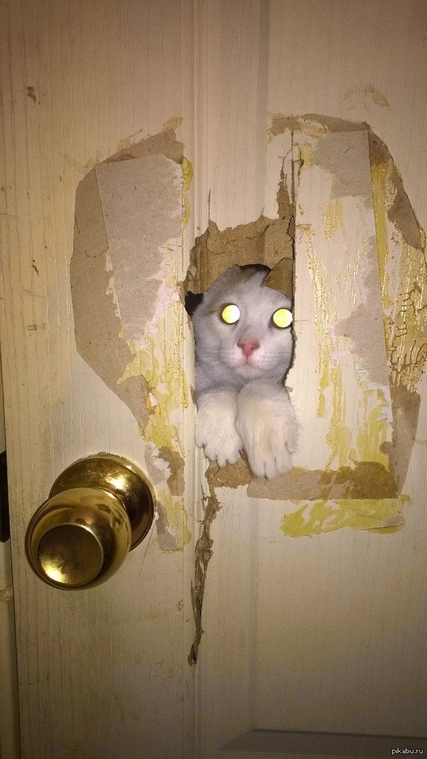 Кого-то мне это напоминает...