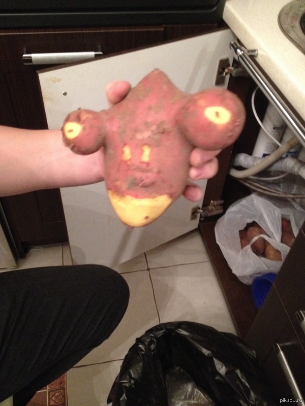 �������� ��������