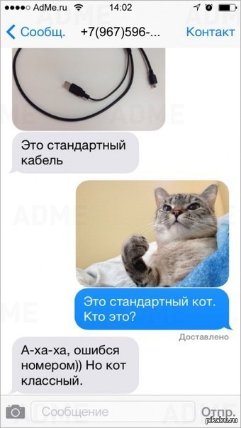 ������ �������