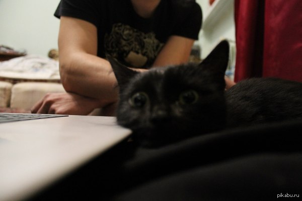 Думает о том, что её ждёт..