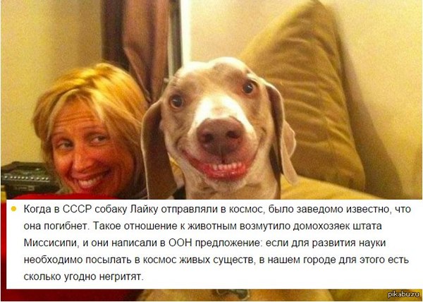 Немножко расизма