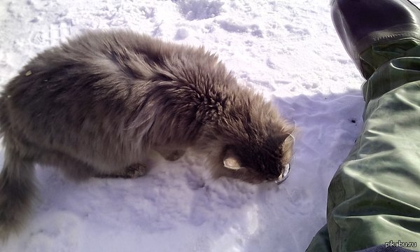 Зимняя рыбалка. Продолжение в комментариях