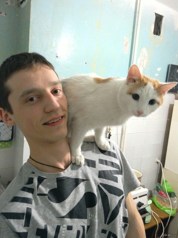 Йохохо и бутылка вискас.