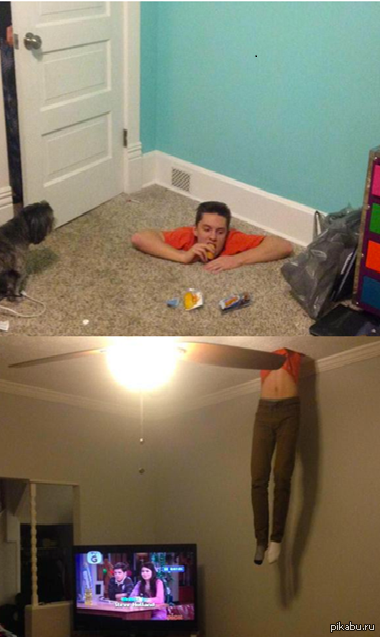 ���������� � ��������