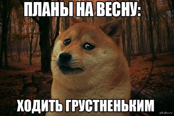 ����� �� �����