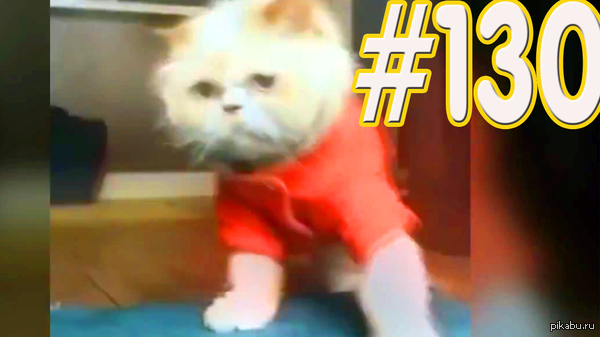  / JOKES [PrivetShowChannel]  #130