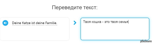 Duolingo  